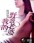 林烟裴聿城机长