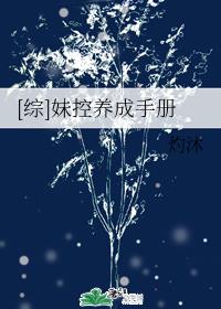 妹控养成手册
