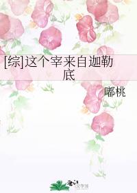 [综]这个宰来自迦勒底