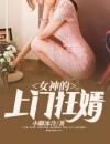 无敌佳婿陈华