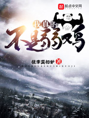 木叶大师兄