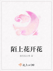 一胎三宝：前妻太难追阮卿陆之远