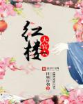 无敌战王叶城