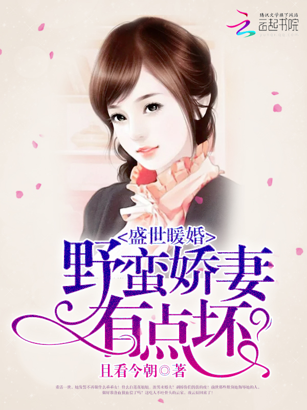 上门豪婿苏洛