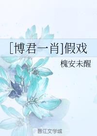 ［博君一肖]假戏