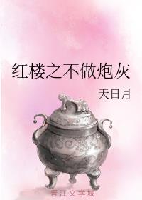 红楼之贾瑚不孝