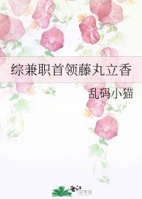 综兼职首领藤丸立香