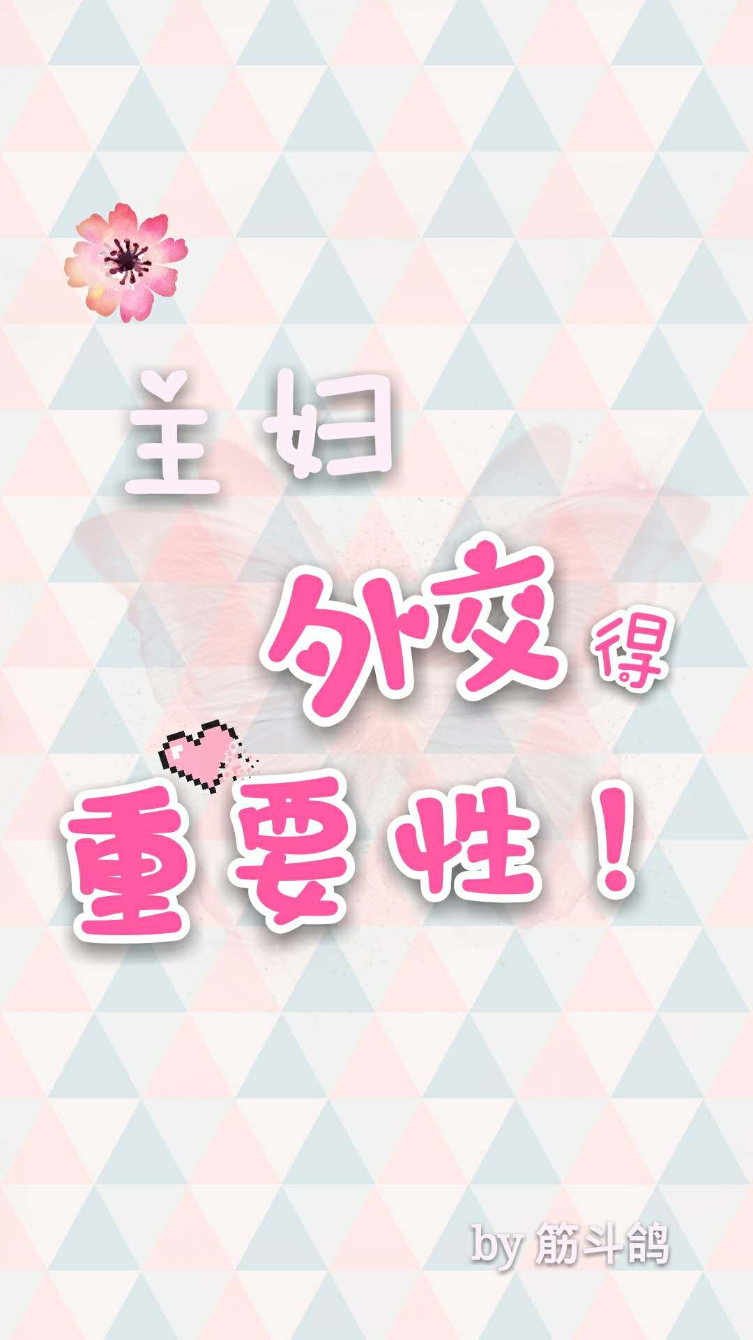 主妇外交得重要性