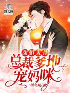 夏燃盛熠城