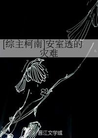 [综主柯南]安室透的灾难
