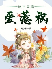 这个王妃爱惹祸