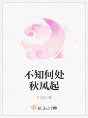 不知何处秋风起