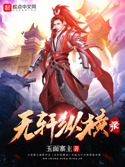 无轩纵横录