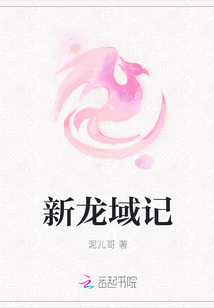 新龙域记