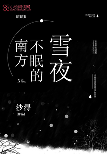 南方不眠的雪夜