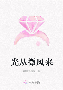 光从微风来