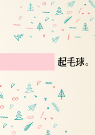 起毛球