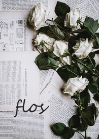 【耽美】flos