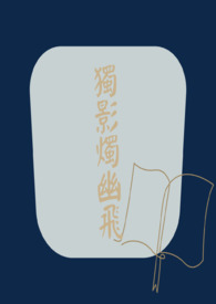 独影烛幽飞