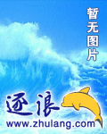 神圣传说之重生无量