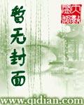 幻月密码
