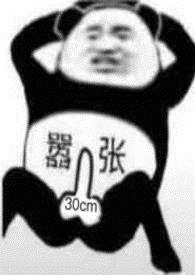 双面荡夫