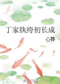 丁家纨绔初长成