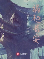 祸起长安