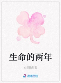 玛格利特菊