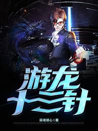 游龙十三针