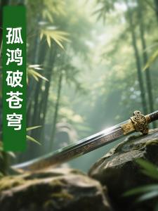 孤鸿破苍穹