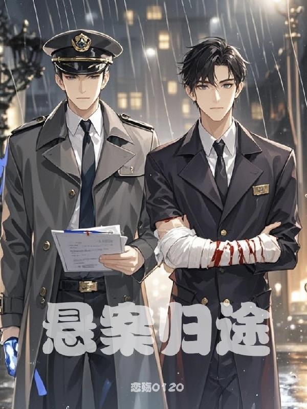 悬案归途