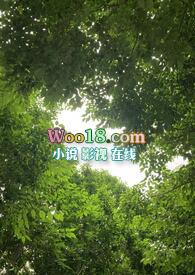 镜观