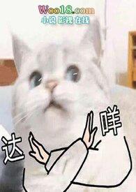 翻身仗 ( H)