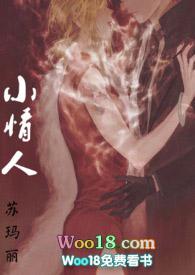 小情人h