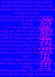 旖旎热带鱼