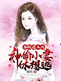当贼遇上兵，神偷小妻休想逃！