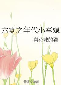 六零之年代小军媳