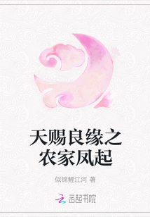 天赐良缘之农家凤起