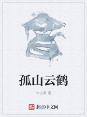 孤山云鹤