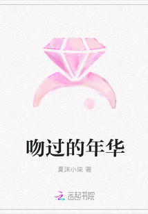 吻过的年华