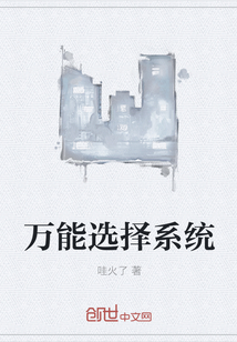 万能选择系统