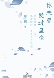 你未曾爱过星尘