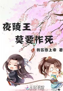 夜陵王莫要作死