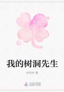 我的树洞先生