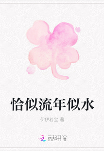 恰似流年似水