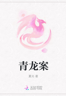 青龙案
