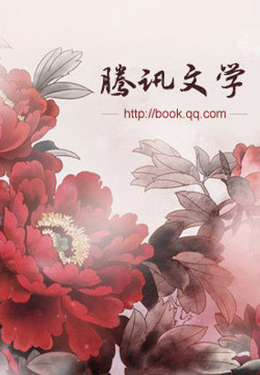 迷狐少女养成记