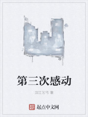 第三次感动