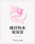 魔君快来宠宠爱